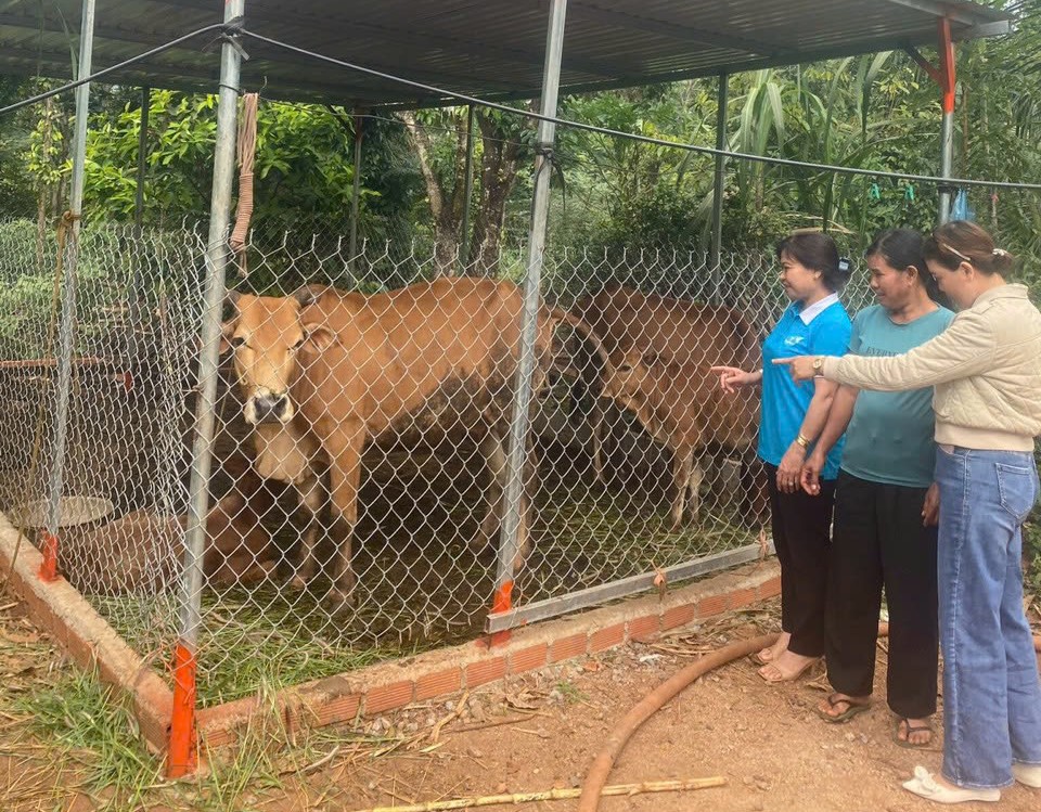Chủ tịch Hội Phụ nữ tâm huyết với nguồn vốn tín dụng chính sách